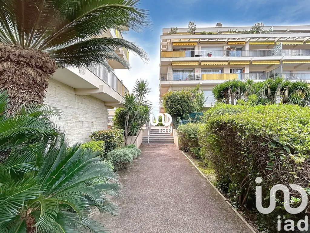 Jardin - Appartement avec Terrasse et Piscine à Antibes