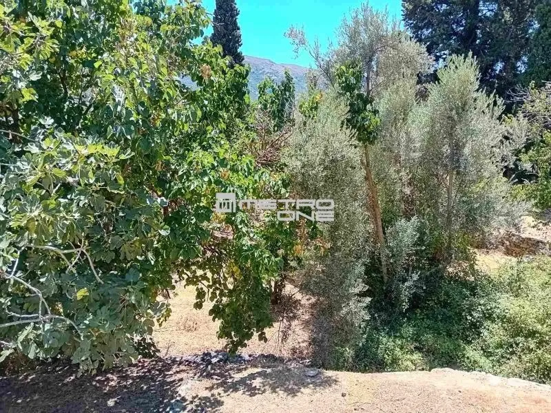 Giardino - Buildable Plot with Open Views in Andros