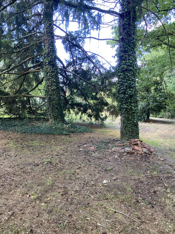 Aed - Longère with Dependencies in Countryside