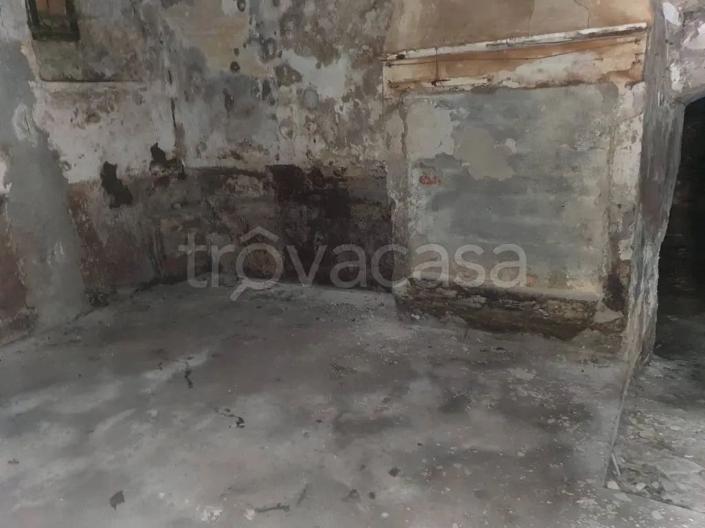 cellar