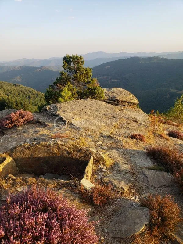 Charming 3-Bedroom House in Lozère