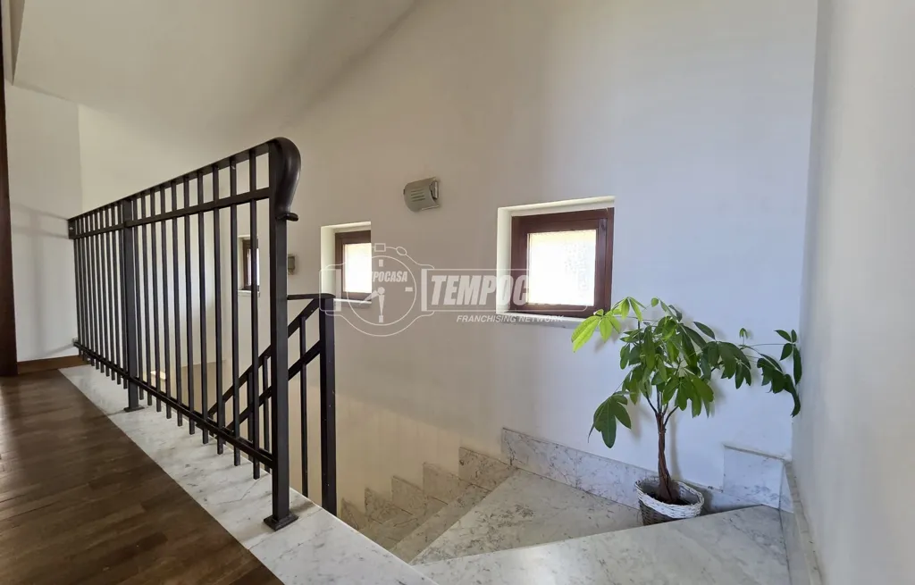Toad - Rustic Villa with Garden in Castagnola, Massa