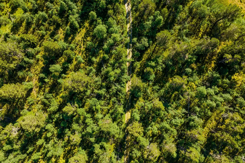 Õhuvaade - Exclusive Plot in Fjäll Environment, Bruksvallarna