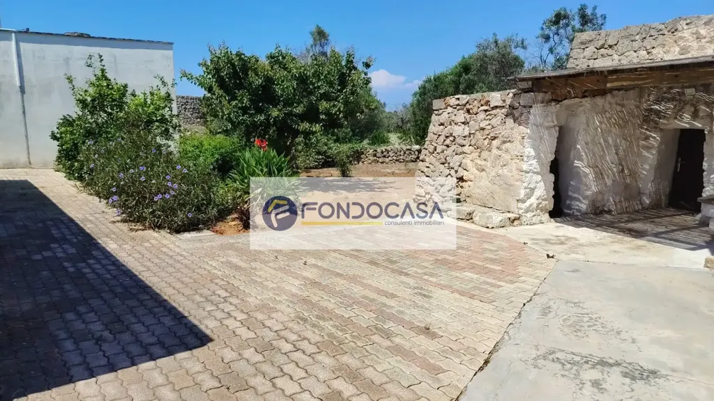 Jardin - Villa with Pajara in Alliste