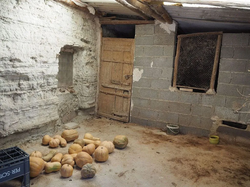 Pesuköök - Unique Cave House in Benamaurel, Granada