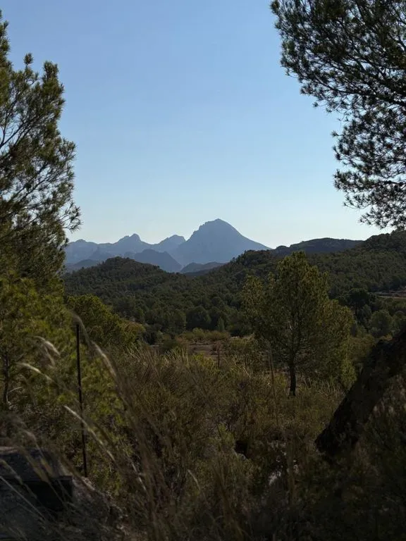 Luxury Farmhouse with Large Land in Villajoyosa