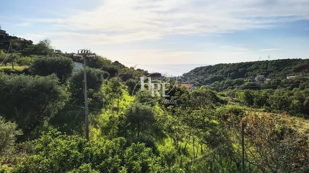 Aed - Panoramic Villa in Belvedere Marittimo