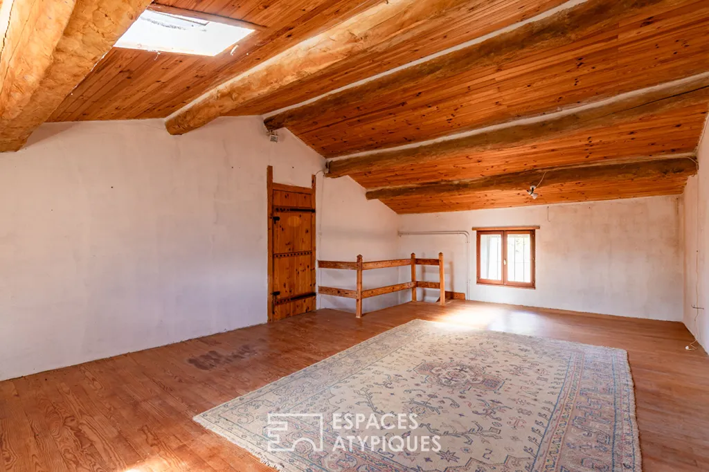 Toad - Atypical Forest Domain with Renovation Potential in Belpech