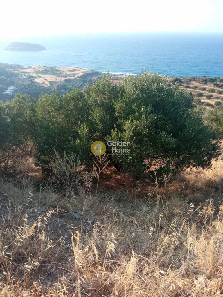 Terrain à GR