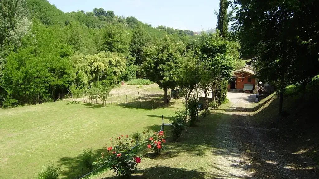 Aed - Rustic Cottage with Garden in Reggello