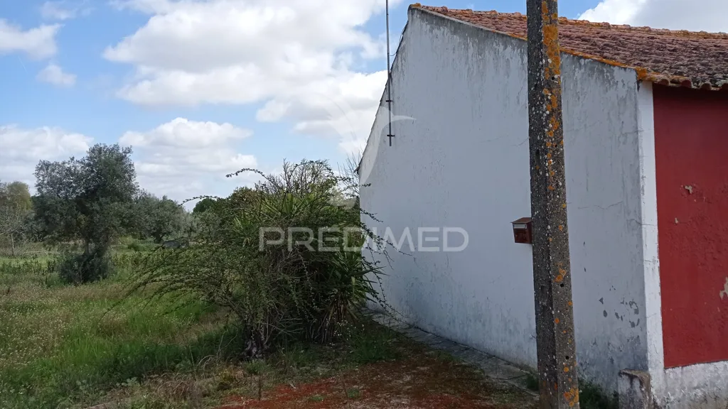 Välivaade - Traditional House with Fruit Trees in Couço, Coruche