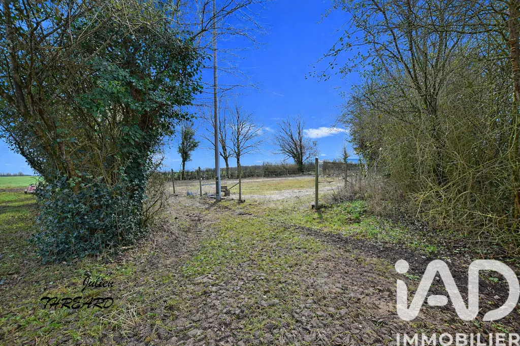 Garden - Charming Longère with Equestrian Facilities in Manthelan