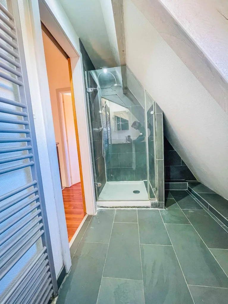 Vannitoad - City Centre Duplex Apartment in Obernai