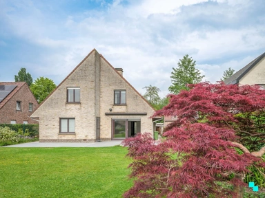 All Photos (26) - Spacious Villa in Quiet Residential Area