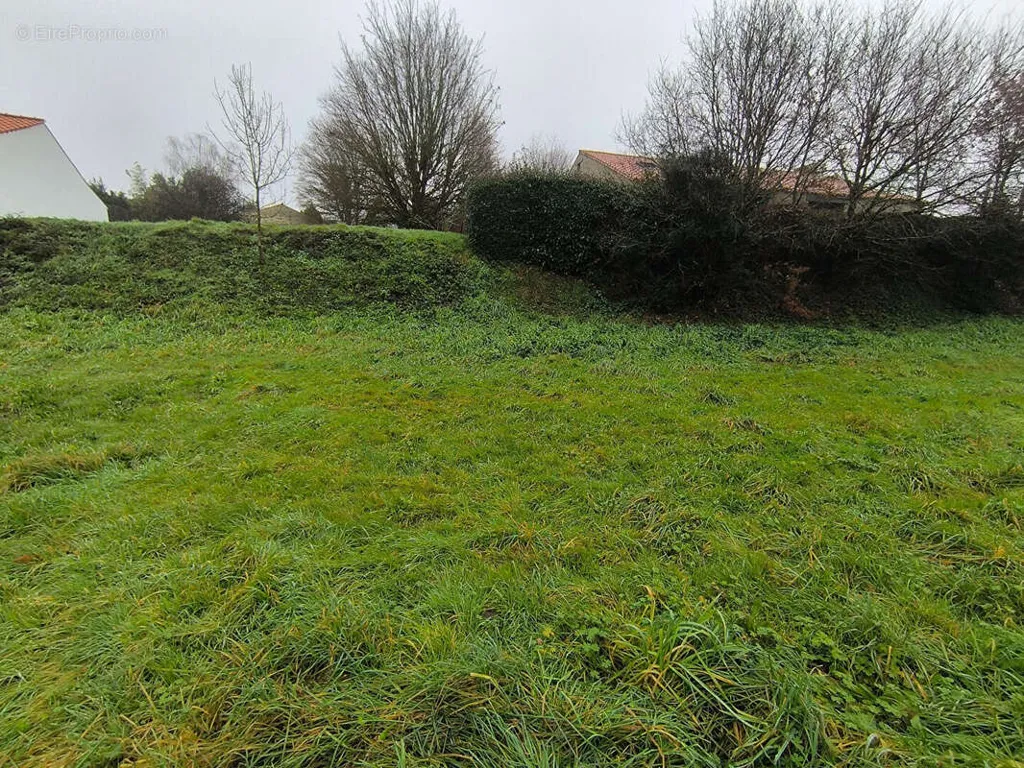 Jardín - Constructible Land with Garden near Commequiers