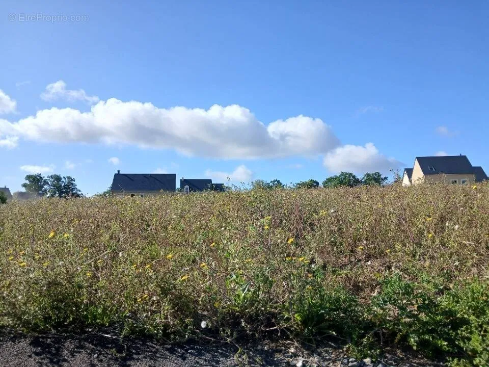 Giardino - Plot with Panoramic View in Pont-l'Évêque