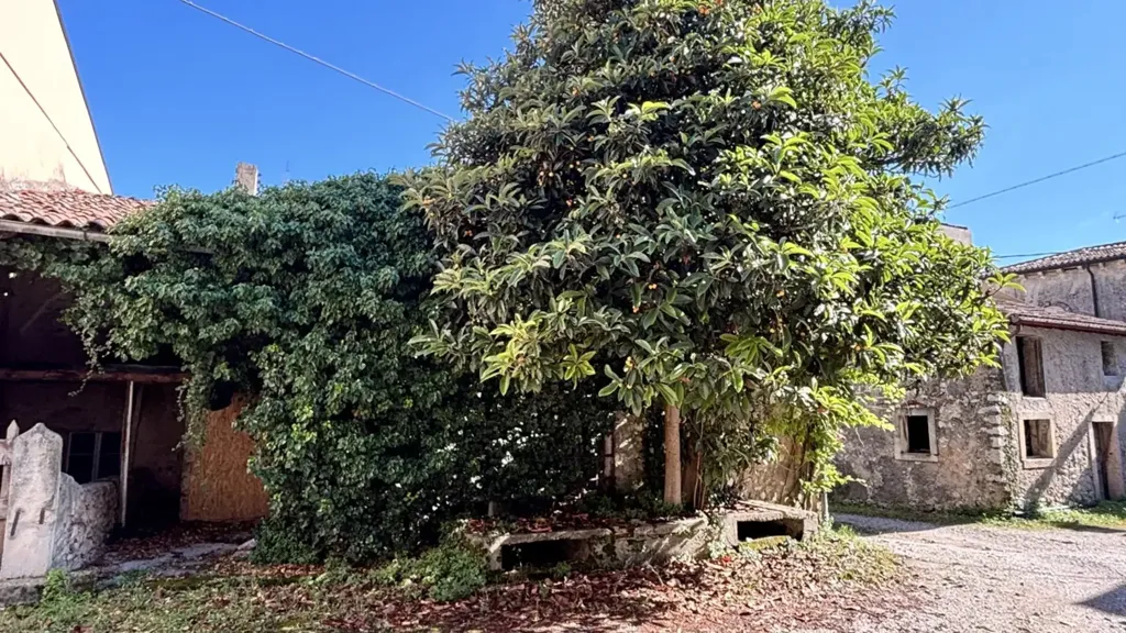 Jardin - Rustic Property for Renovation in Tregnago