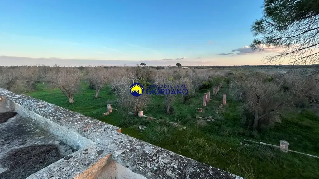 Garden - Rustic Property with Garden in Squinzano