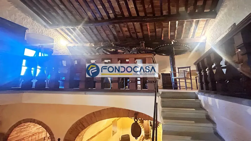 Toad - Historic Mill with Garden in Camaiore