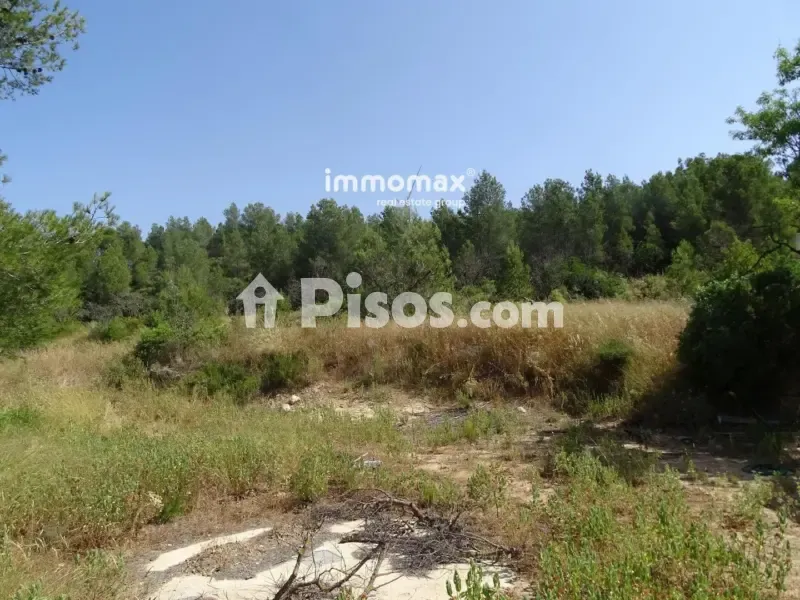 Aed - Rustic Finca with Stone Cottage in Caseres