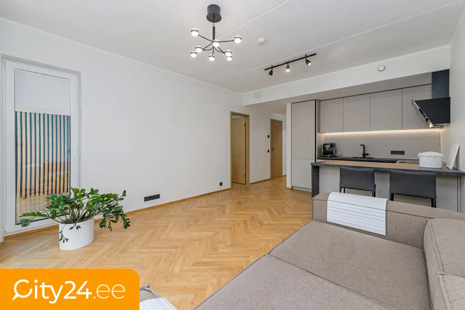 Séjour - Minimalist 2-Room Flat with Balcony in Tiskreoja