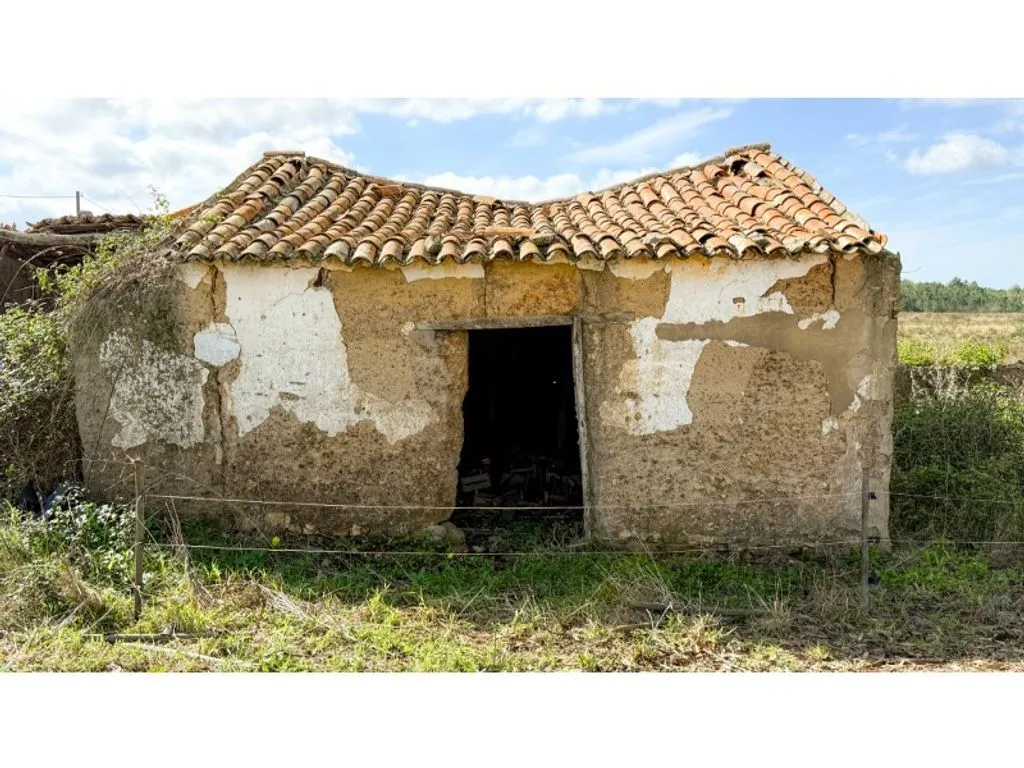 Extérieur - Mixed-use Farm with Sea View in Odeceixe