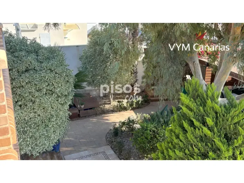Jardin - Luxury Villa with Pool in Ciudad Quesada