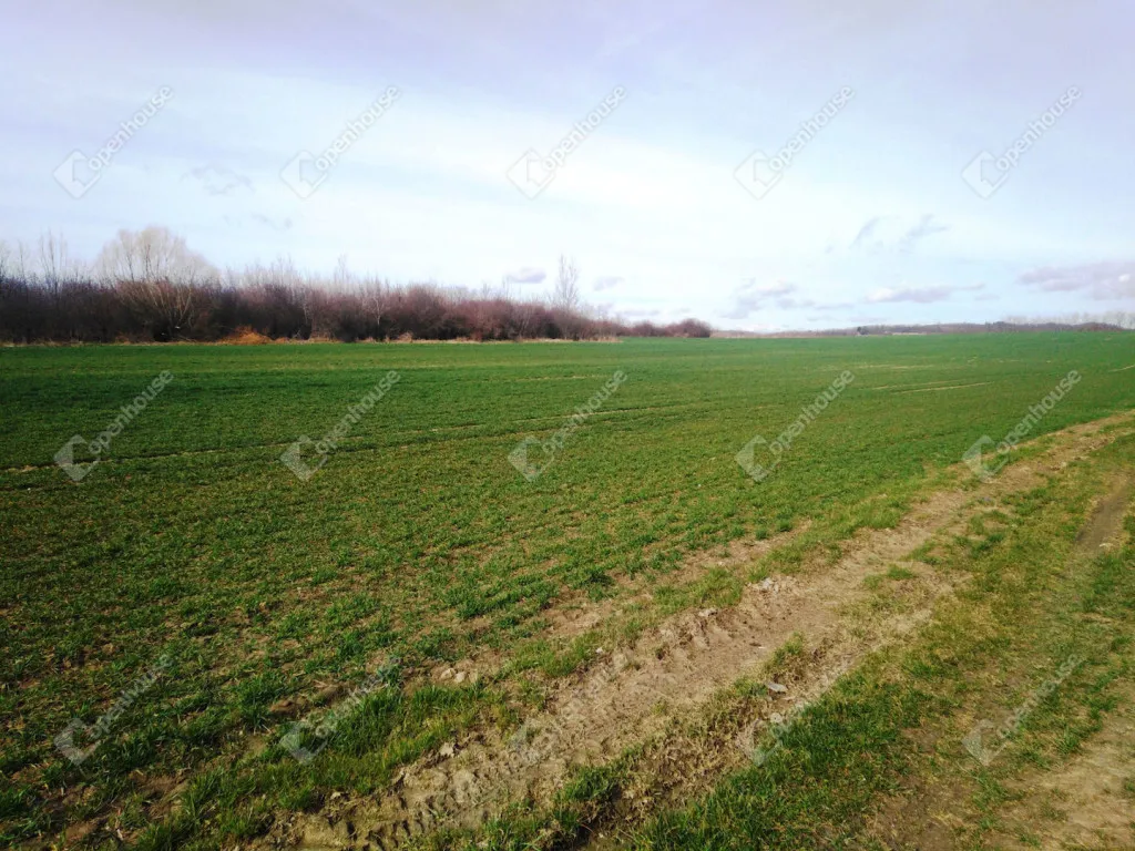 Aed - Construction Plot with Balaton Access in Szentpéterúr
