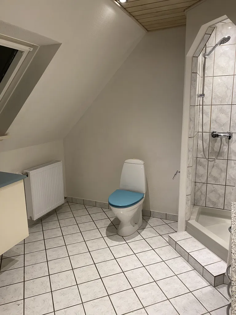 Salles de bain - Detached House with Heated Workshop in Balslev