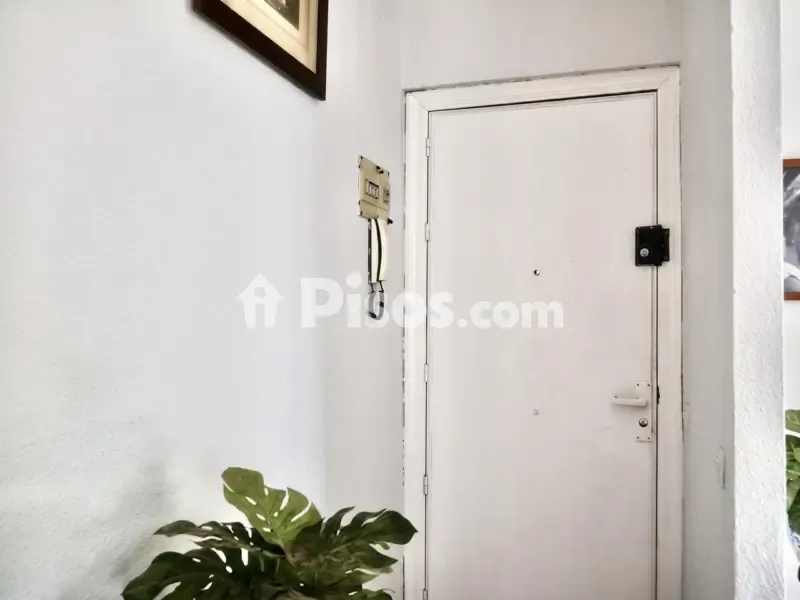 Esik - Apartment with Exterior Views in Triana