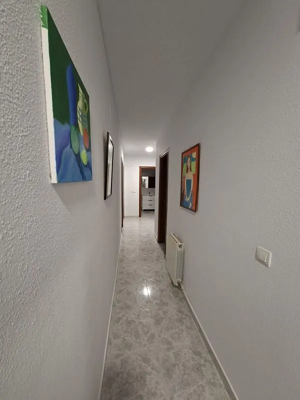 Entrée - Furnished Flat with Terrace in Plasencia