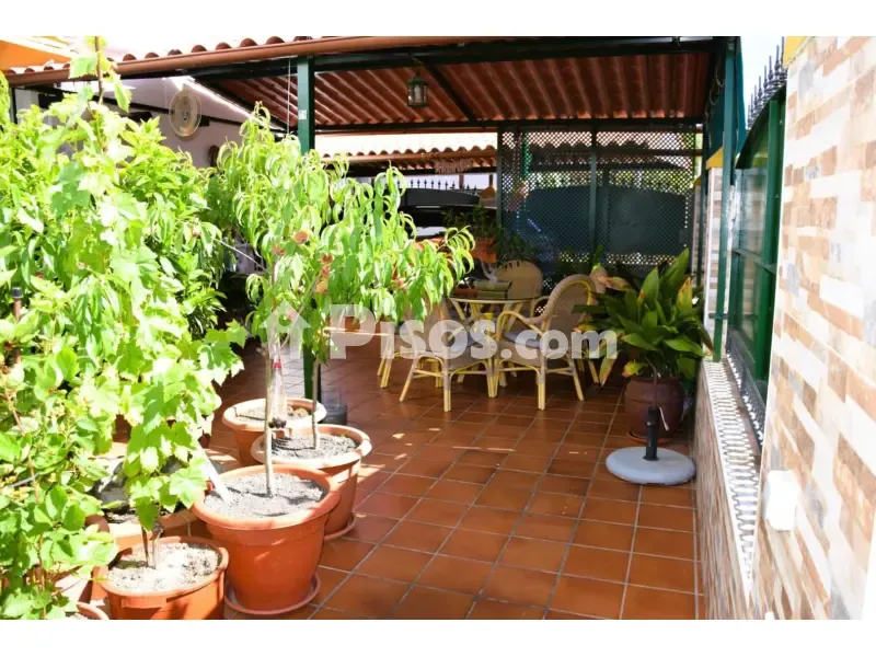 Terrass - Chalet with Sea View in El Portil