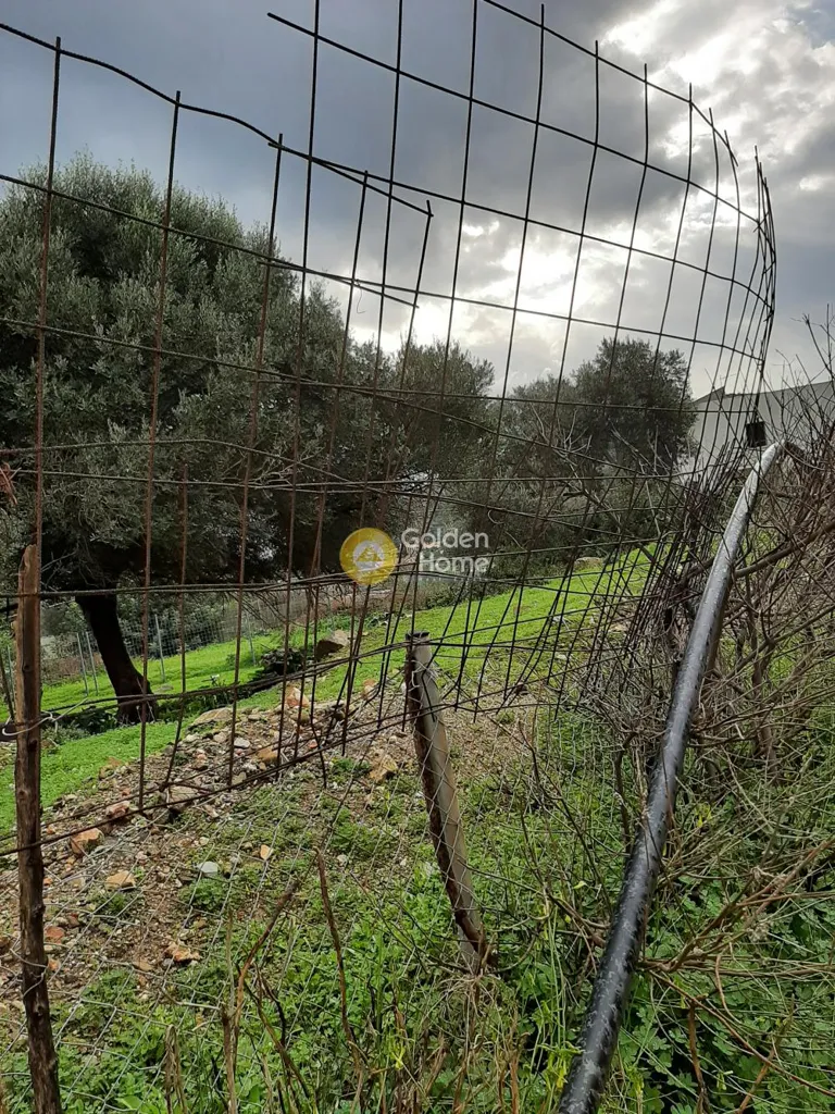 Aed - Buildable Plot with Mountain View in Malévizi