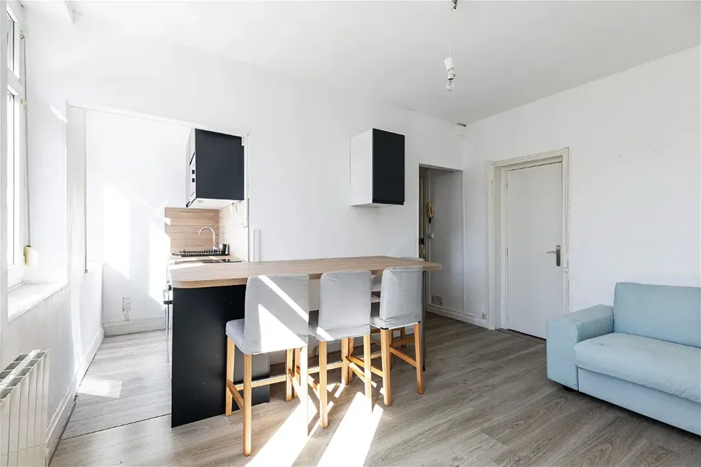 Séjour - Appartement Traversant à Lille Montebello