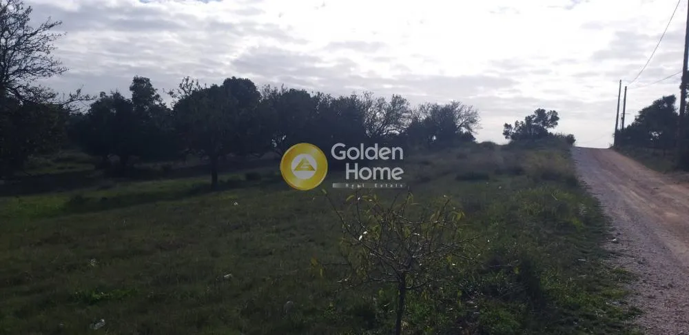 Aed - Plot with Sea View in Corfu Town Centre