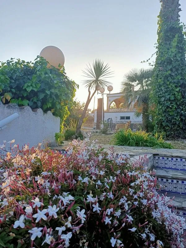 garden