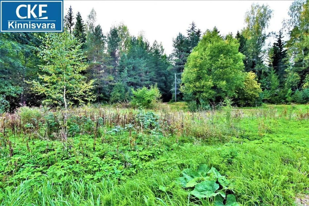 Jardin - Private Country House with Forest in Kose