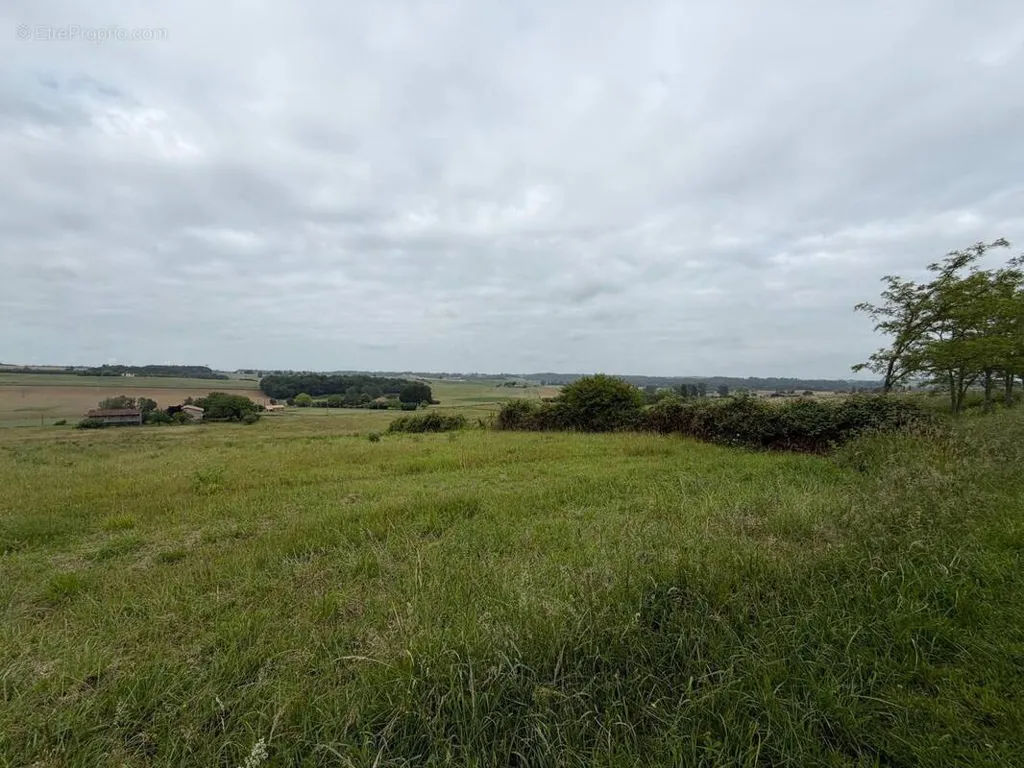 Garden - Buildable Plot in Lévignac-de-Guyenne