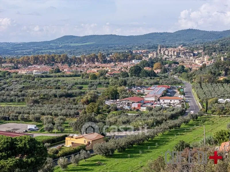 Rustic Villa with Lake View in Bolsena