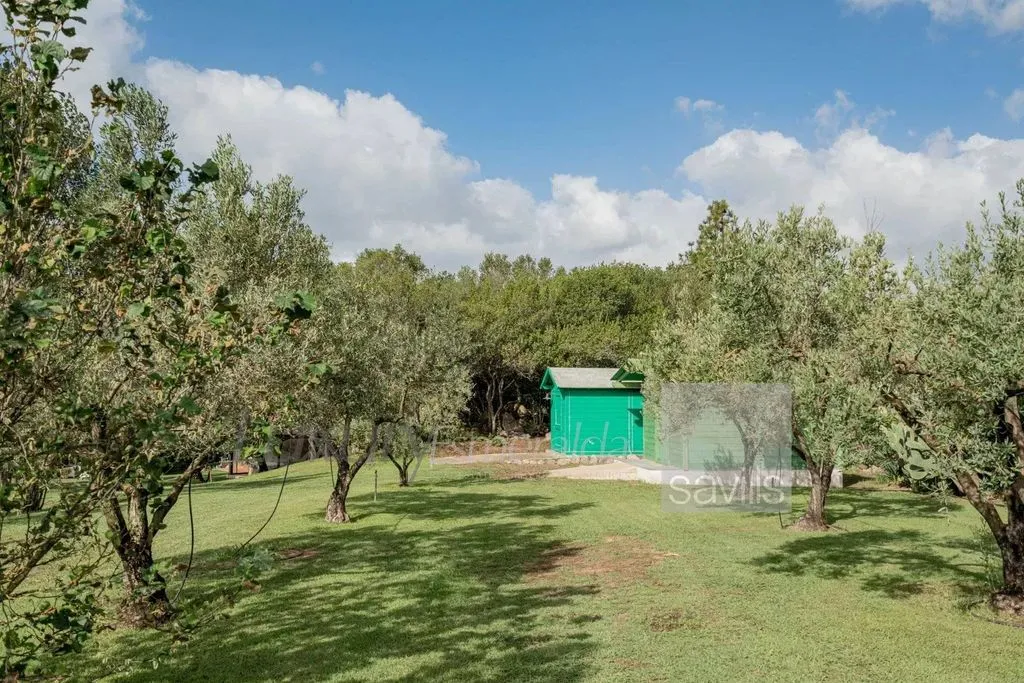Jardin - Traditional Villa with Pool in San Pantaleo
