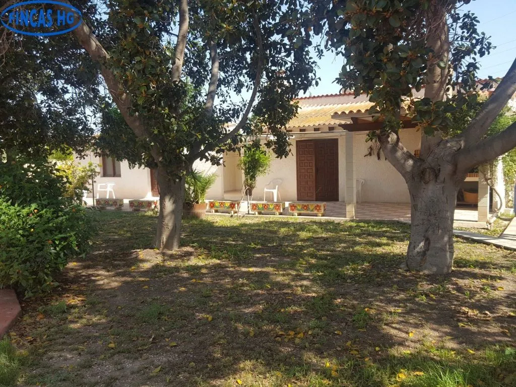 Jardin - Luxury Villa with Pool in Alicante