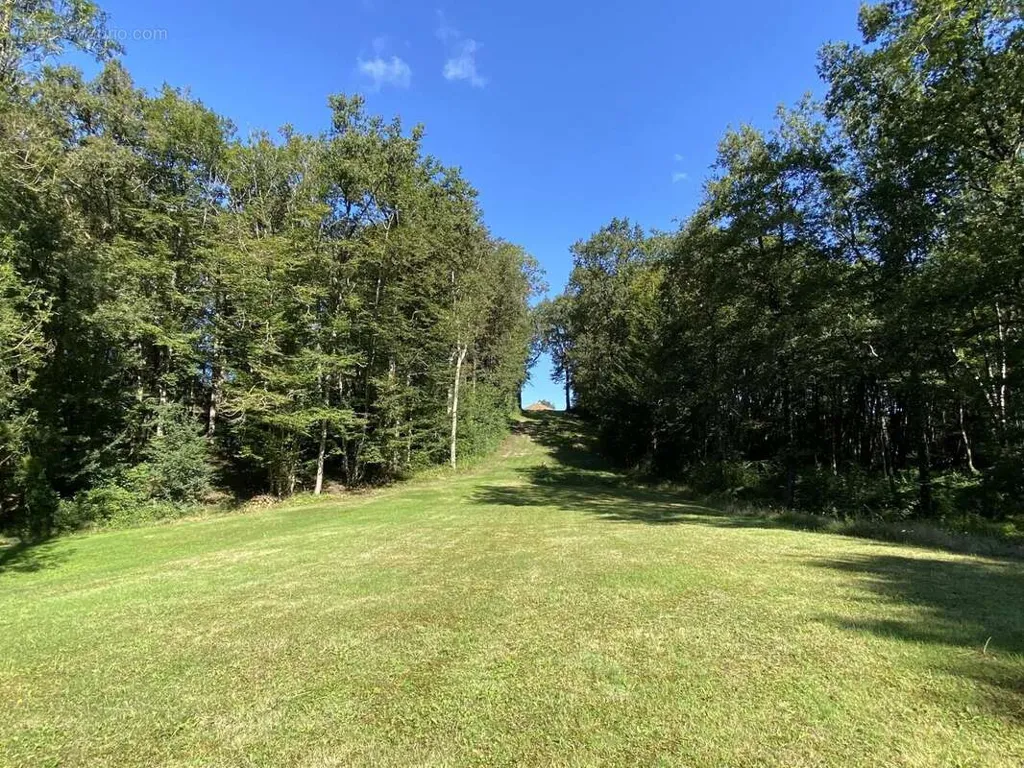 Jardin - Propriété Contemporaine avec Parc à 8 km de Châtellerault