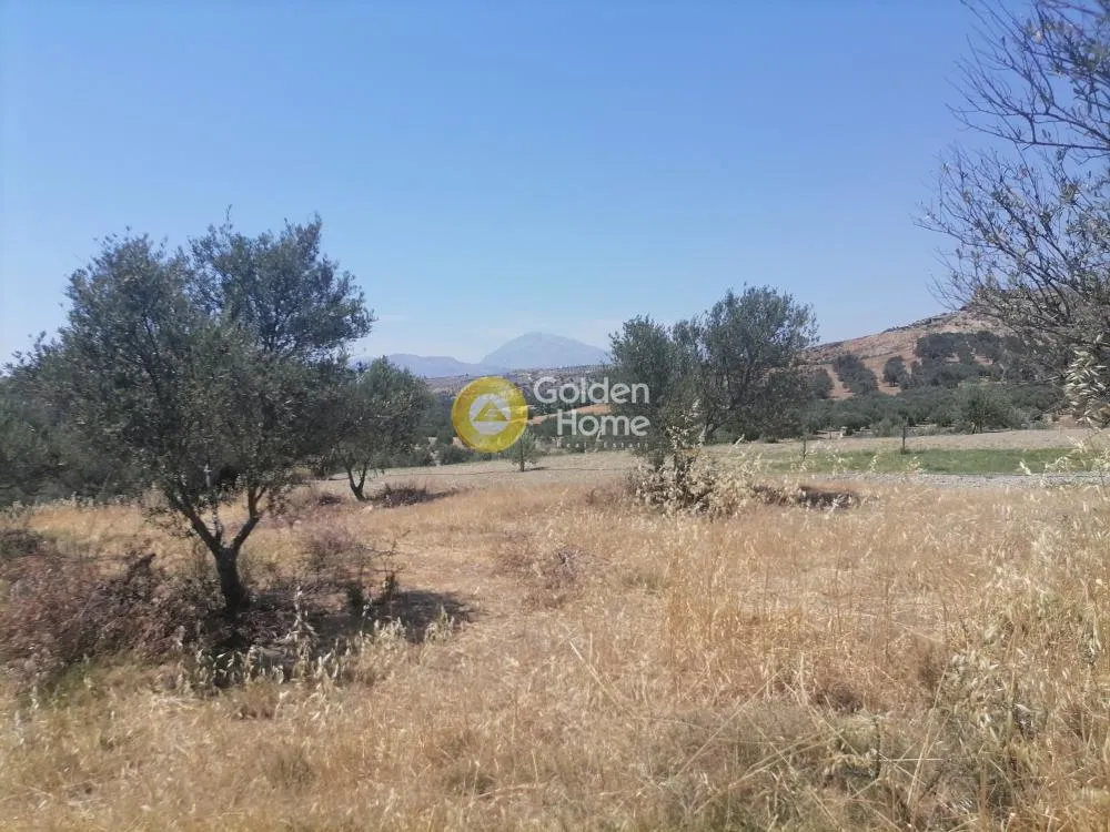 Garden - Buildable Plot with Olive Trees in Phaistos