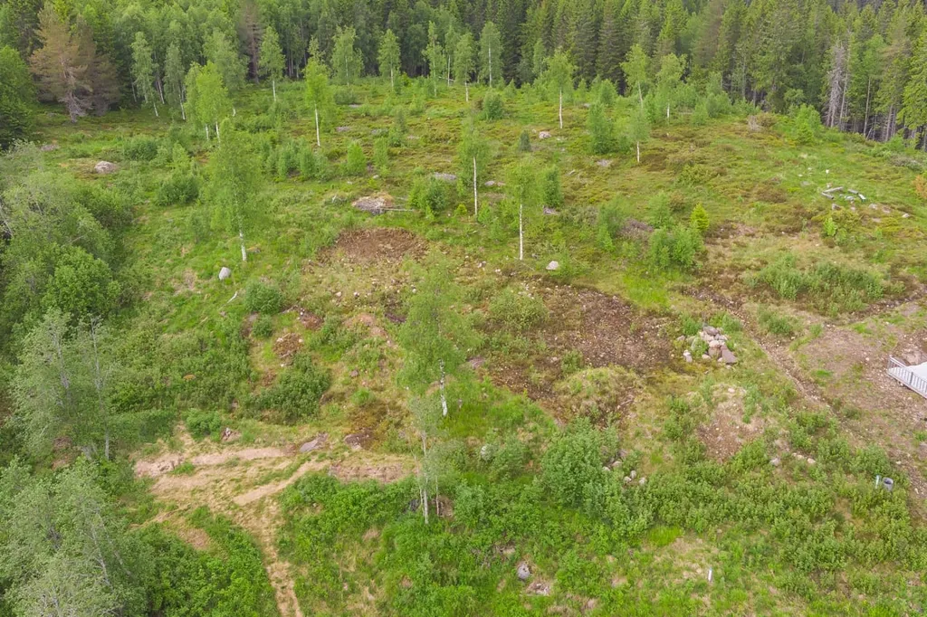 Õhuvaade - Plot in Scenic Mattila, Torsby