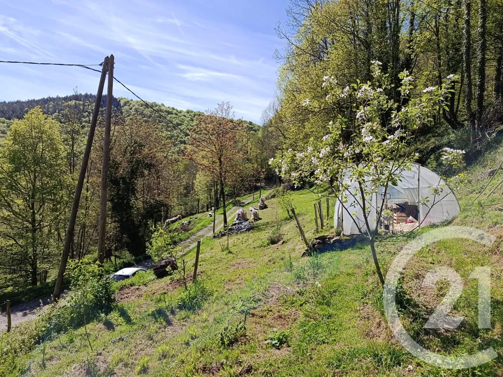 Jardin - Maison en Pierre avec Terrain à Aleu
