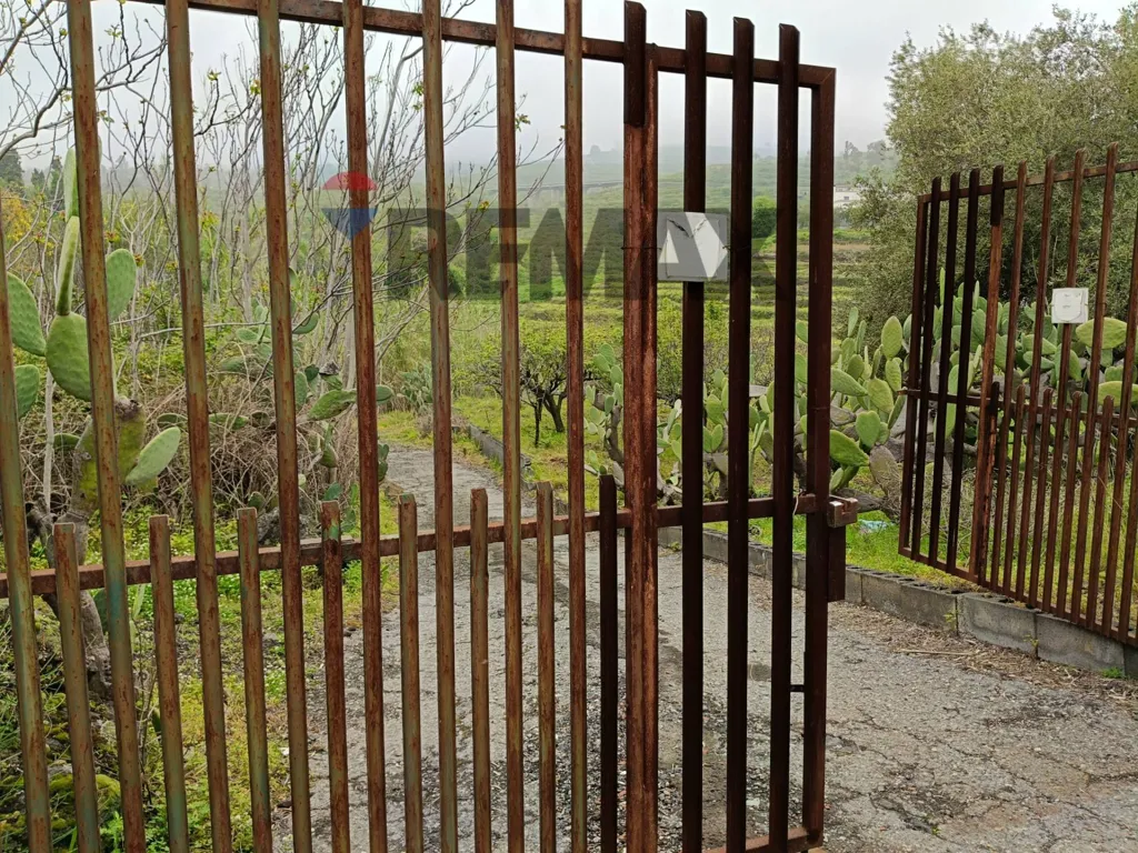 Jardin - Agricultural Estate with Lemon Grove in Mascali