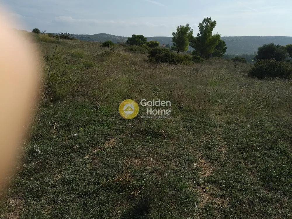 Garden - Plot with Unrestricted View in Keratea