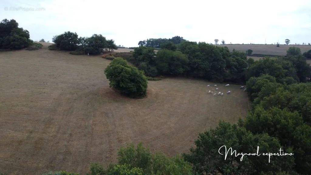 land_plot