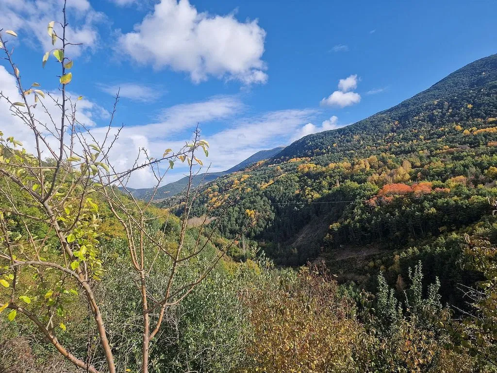 Apartment with Mountain Views in Gavin
