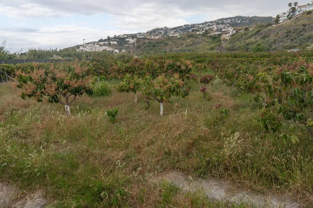 Aed - Development Land with Sea View in Salobreña
